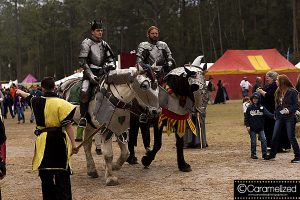 Hoggetowne Medieval Faire 2016