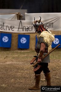 Hoggetowne Medieval Faire 2016