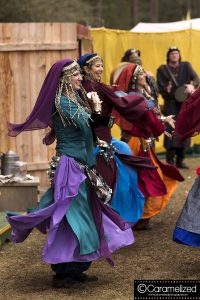 Hoggetowne Medieval Faire 2016