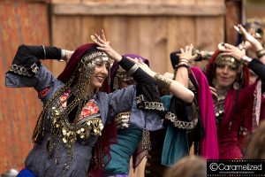 Hoggetowne Medieval Faire 2016